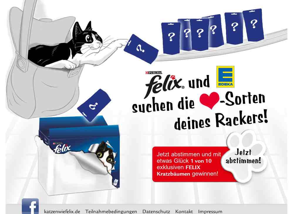 katzen wie felix gewinnspiel