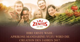 zentis creation des jahres gewinnspiel top seller paket gewinnen