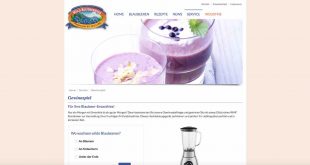 smoothie mixer gewinnen